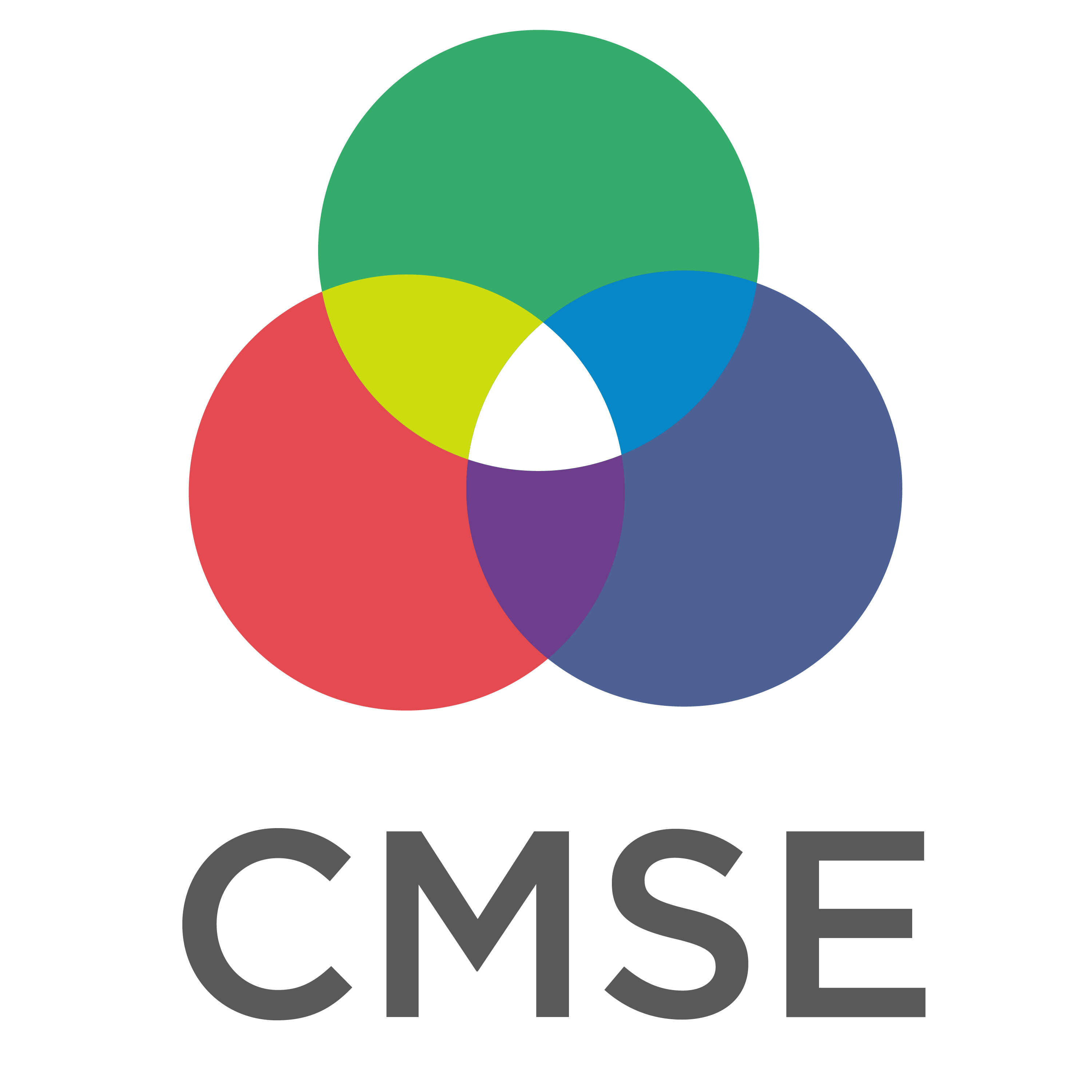 CMSE 381 - Home