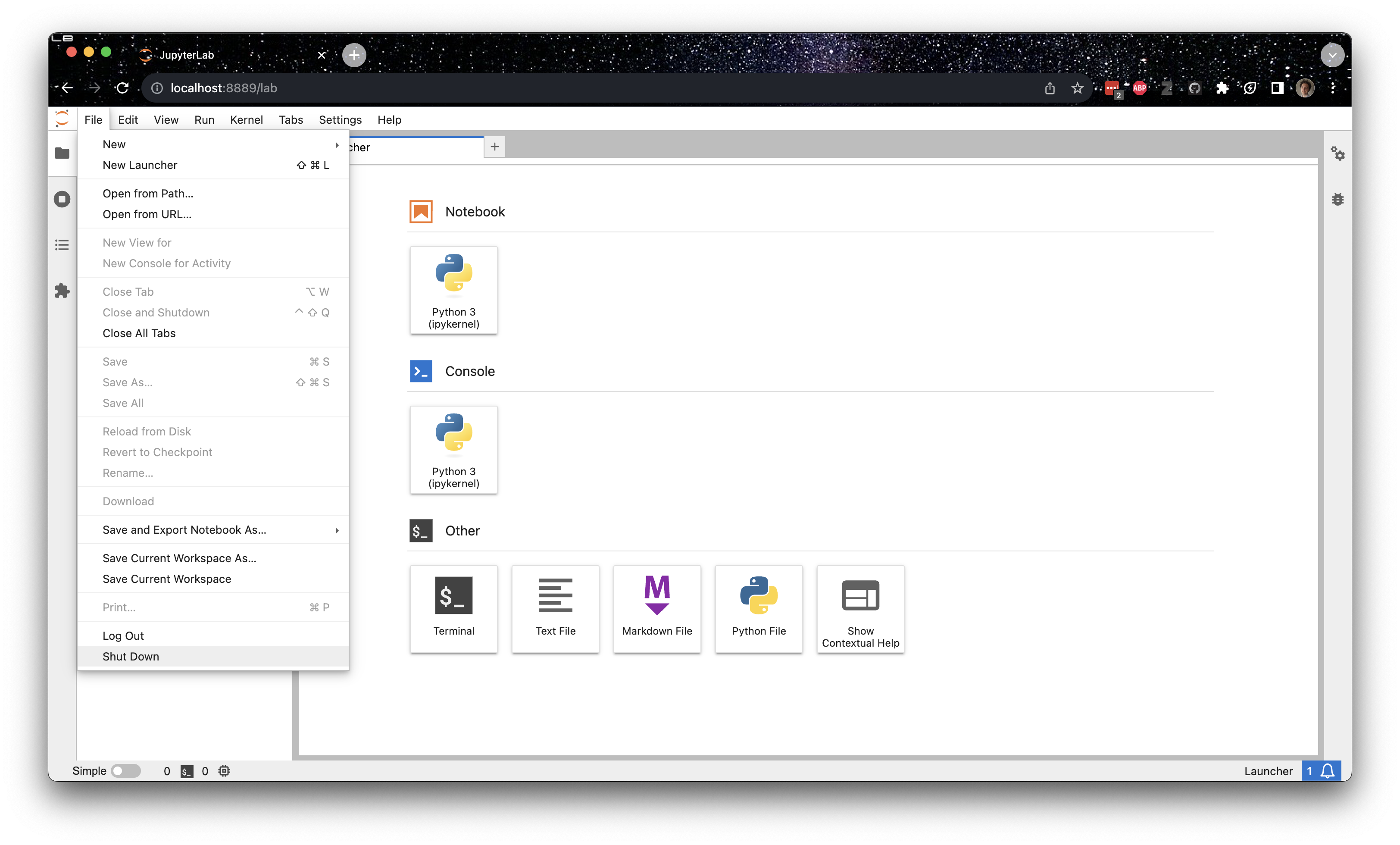 Jupyter lab shutdown